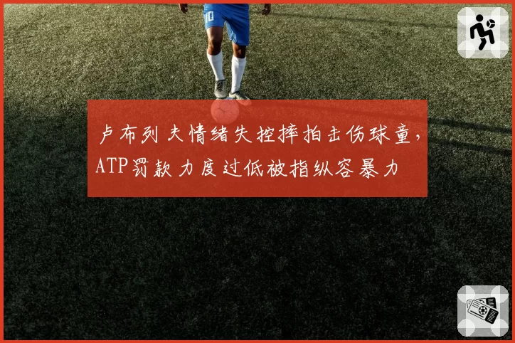 卢布列夫情绪失控摔拍击伤球童,ATP罚款力度过低被指纵容暴力