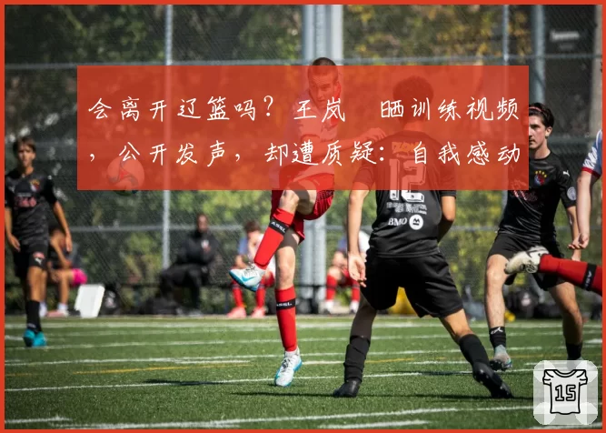 会离开辽篮吗？王岚嵚晒训练视频，公开发声，却遭质疑：自我感动