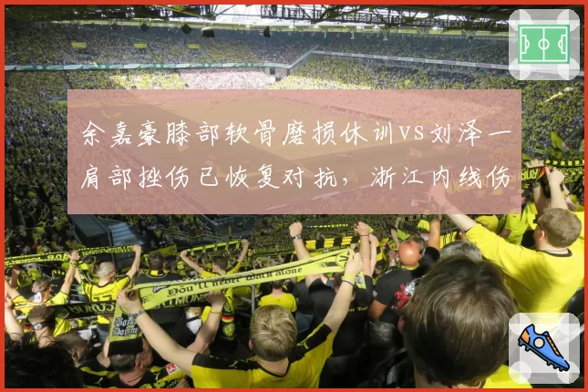 余嘉豪膝部软骨磨损休训vs刘泽一肩部挫伤已恢复对抗,浙江内线伤病性质差异显著