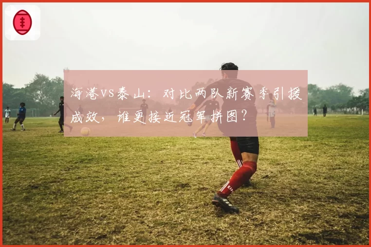 海港vs泰山:对比两队新赛季引援成效,谁更接近冠军拼图?