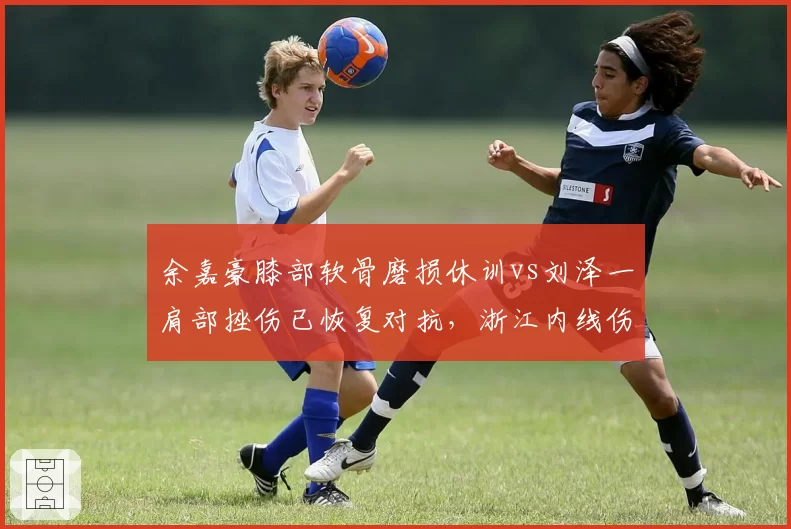 余嘉豪膝部软骨磨损休训vs刘泽一肩部挫伤已恢复对抗，浙江内线伤病性质差异显著