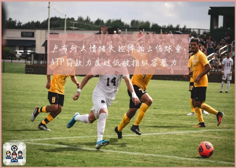 卢布列夫情绪失控摔拍击伤球童,ATP罚款力度过低被指纵容暴力