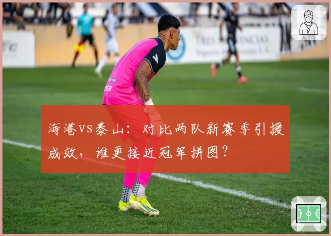 海港vs泰山:对比两队新赛季引援成效,谁更接近冠军拼图?