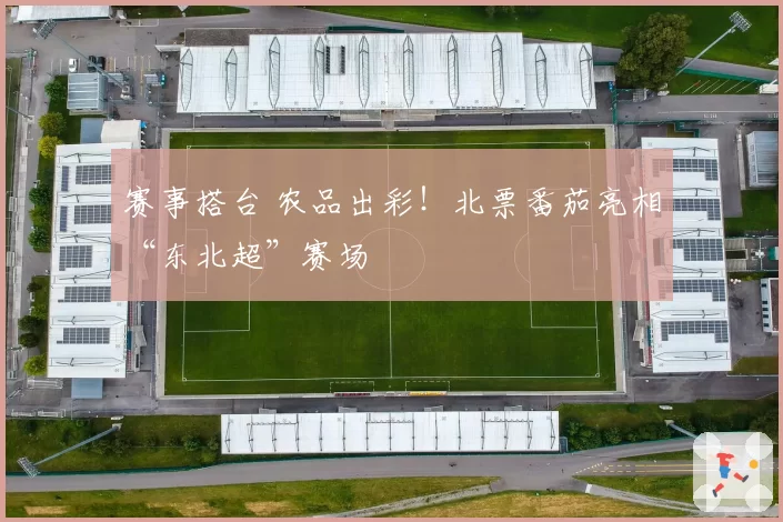 赛事搭台 农品出彩!北票番茄亮相“东北超”赛场