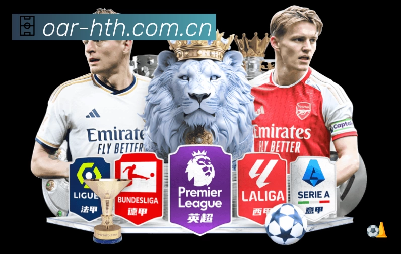 全球访问热力分布图